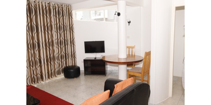 One-bedroom apartment living room
